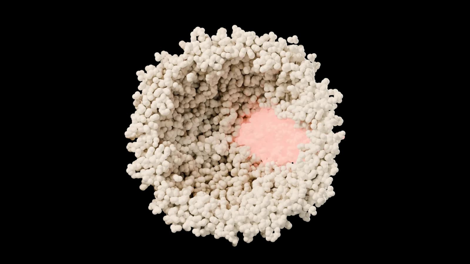 Human ferritin light chain, close-up.