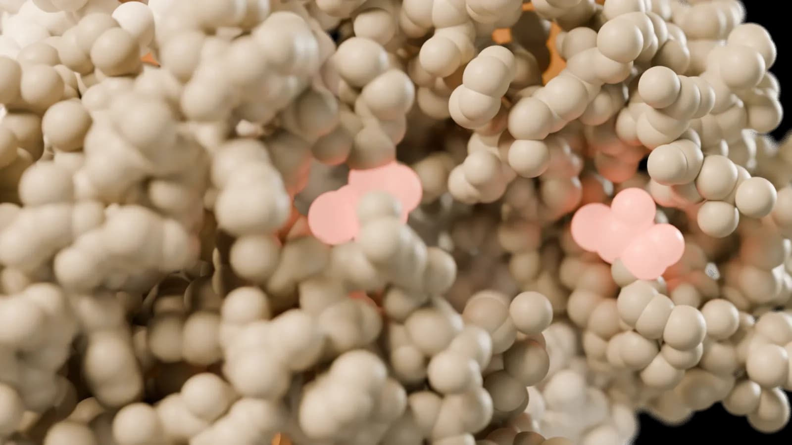 Human deoxyhemoglobin, close-up.
