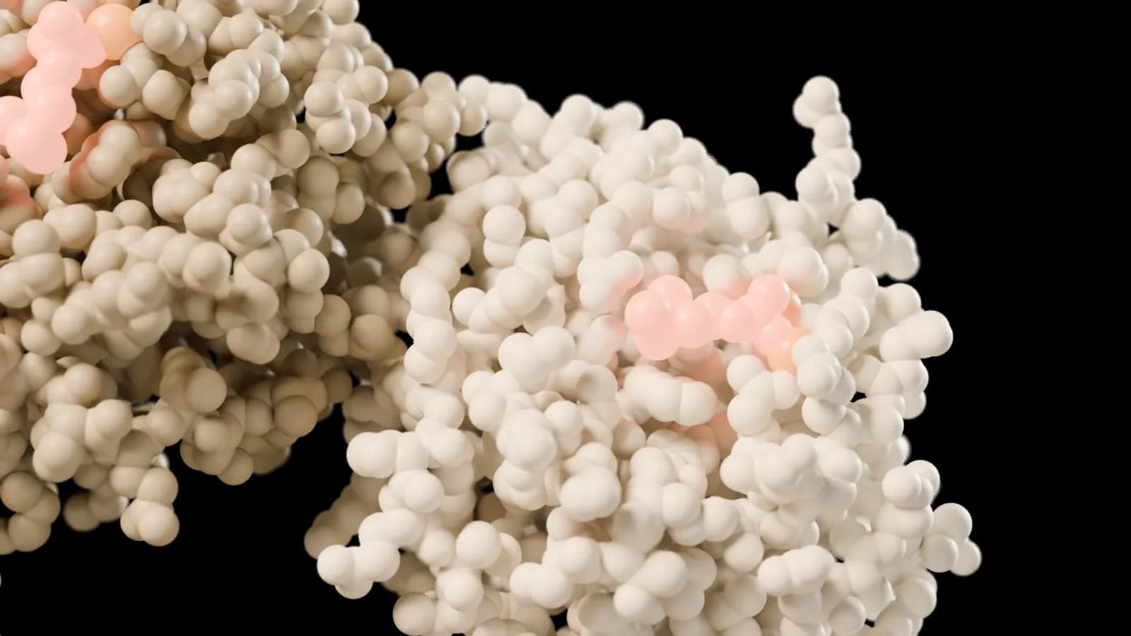 Human C-reactive protein with phosphocholine, close-up.