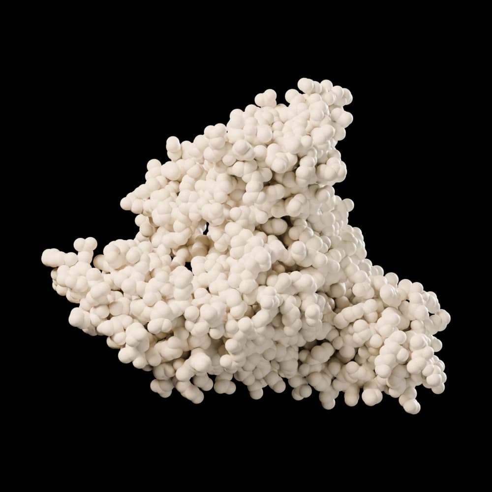 A heart-shaped protein built from three similar domains.