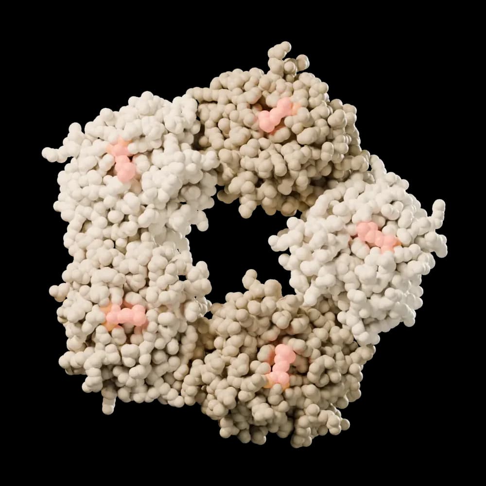 Human C-reactive protein with phosphocholine (PDB 1B09), rendered from its atomic coordinates.