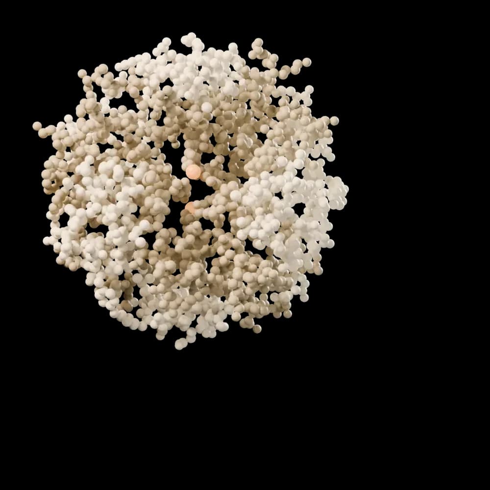 T6 human insulin hexamer, cut-away view.