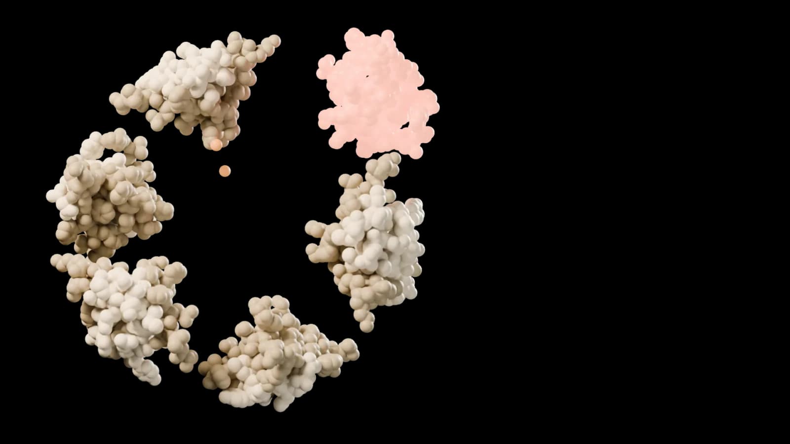 T6 human insulin hexamer, close-up.