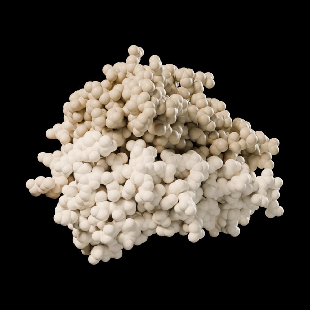 Three identical protein units packed into a cone-shaped trimer.