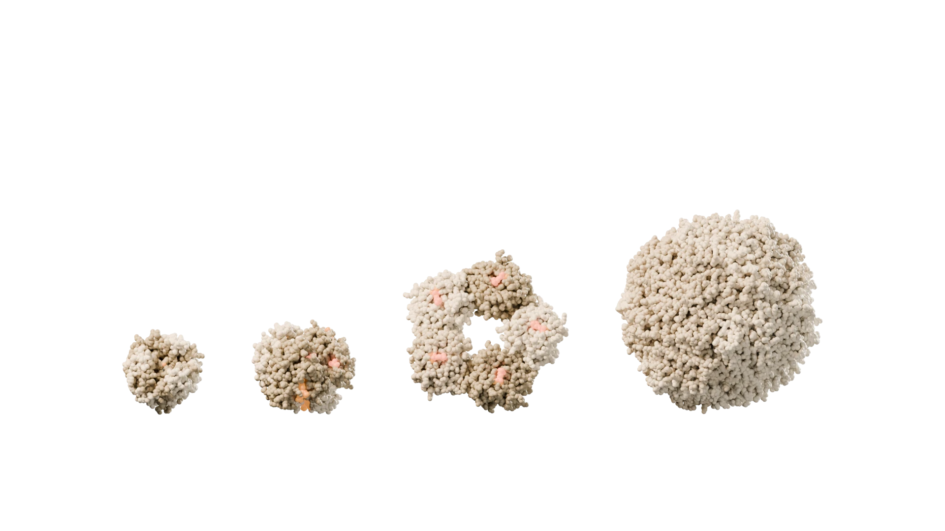 Insulin, hemoglobin, C-reactive protein and ferritin at their true relative sizes.